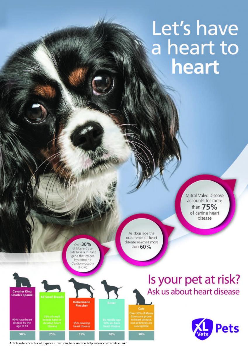 Targeting 'at risk' Pets Poster