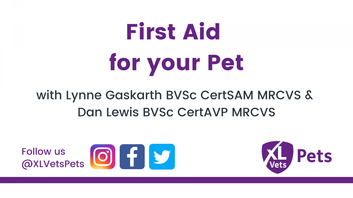 First Aid for your Pet Educational Webinar